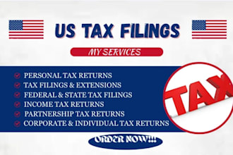 prepare and file late US taxes for foreign owned llc and ensure irs compliance