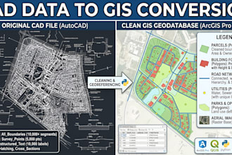 do data cleaning professional gis mapping and georeferencing