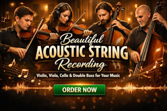 record beautiful acoustic string parts for your song or music project