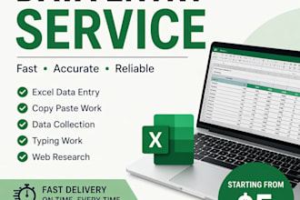 do data entry and organize excel or google sheets data