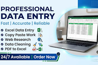do data entry in microsoft excel and google sheet