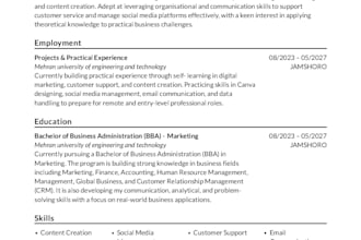 design professional powerpoint presentations CV and resumes