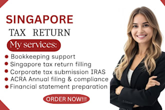 file singapore tax return and financial statements