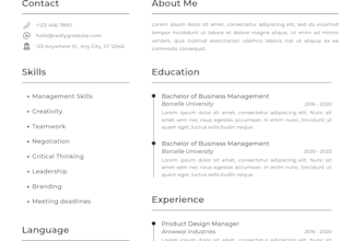 design a professional and modern resume or CV
