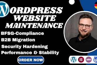 do wordpress maintenance for updates and performance tuning of business websites