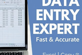 do accurate data entry and excel tasks