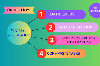 do all the professional virtual assistance for data entry