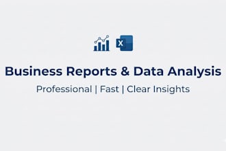 professional business reports and executive summaries
