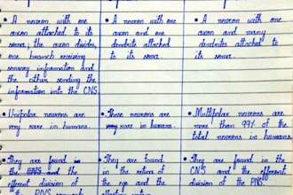 handwrite neat study notes and assignments
