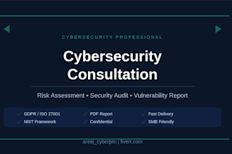 do a professional cybersecurity risk assessment and security audit report
