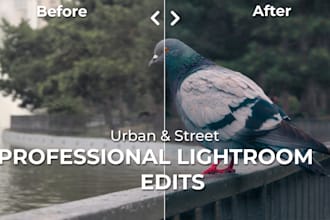 do street photography lightroom editing and colorgrading
