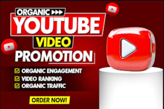 usa youtube video promotion, music promotion, channel growth, yt boost views
