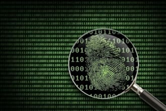 online investigate, cyber forensics, video forensic analyst recover deleted data