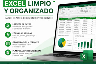 organizo y automatizo tus datos en excel