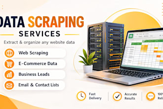 do professional data scraping and web data extraction