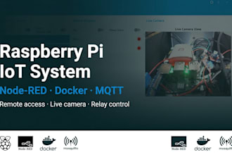 develop raspberry pi iot system with nodered, mqtt, docker and remote access