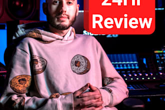 give pro critiques on your song in 24 hrs