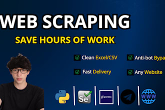 scrape any website and deliver clean data to excel