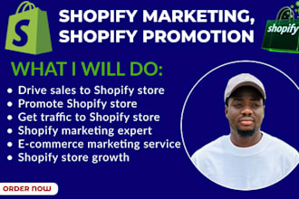 be shopify specialist, boost shopify sales market ecommerce, for website traffic