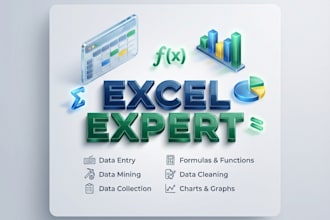 do professional data entry and excel invoice