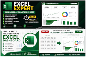 create excel dashboard, charts and reports professionally
