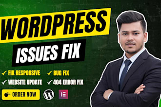 fix wordpress issues, bugs, 404 errors, responsive problems and update website