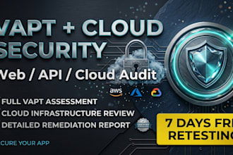 provide professional vapt and cloud security auditing