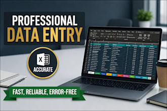 data entry in excel and clean excel data and data fromating
