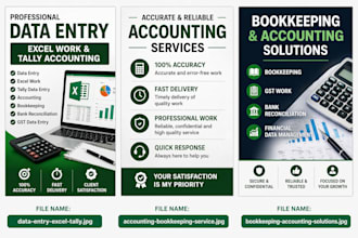 do accounting, bookkeeping and tally data entry