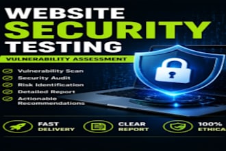 website security testing and vulnerability assessment