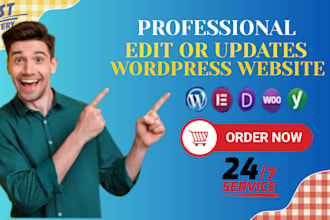 professional edit wordpress website,update wordpress website