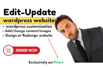 professional edit wordpress website,update wordpress website
