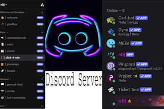 setup a professional discord server