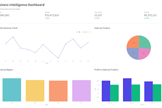 build a professional python dashboard for your business data