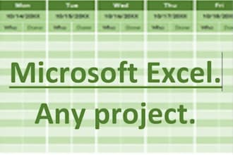 organize your data by using microsoft excel and word
