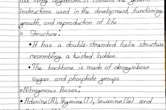 do flawless manual handwriting for assignments, notes and documents