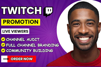 do twitch channel promotion, increase twitch live viewers for twitch afiliate