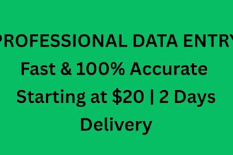 fast and accurate data entry in excel or google sheets