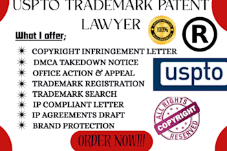 be your IP lawyer to provide IP legal consultation, trademark disputes copyright