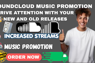 do organic souncloud promotion for your song real audience