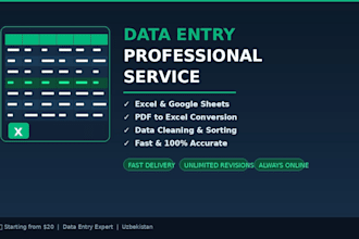 do fast and accurate data entry in excel or google sheets