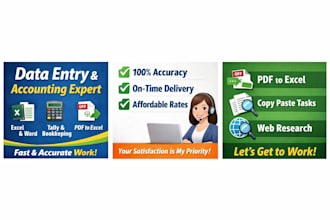do data entry, excel, word, powerpoint presentation, tally