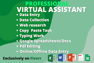 do professional data entry and virtual assist