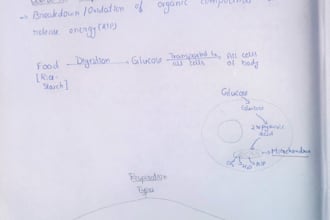 design well organized biology study notes and diagrams