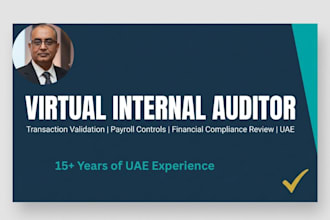 virtual internal audit transaction review compliance