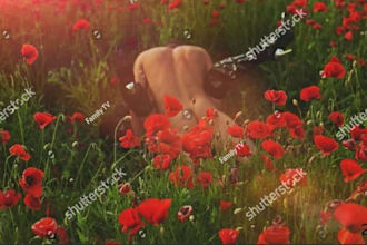 write a custom erotic story or steamy romance fiction