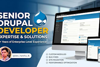 be your senior drupal developer for custom modules and bug fixes