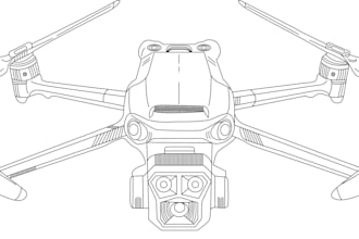 draw vector line art and sketch drawing