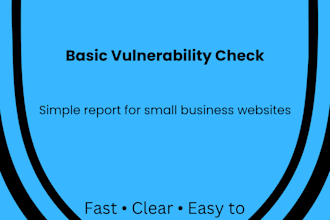 basic website security audit and vulnerability check