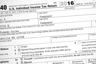 help you file your individual federal income tax return